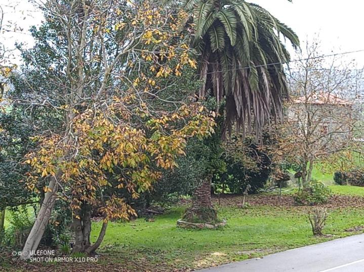 クディレロCasa Chiscoアパートメント エクステリア 写真